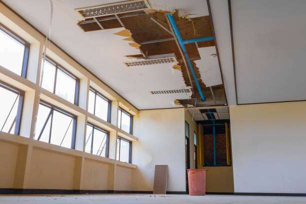 Best Water damage mitigation services  in Terrell, TX