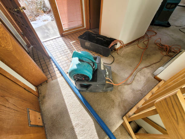 Best Basement water damage restoration  in Terrell, TX