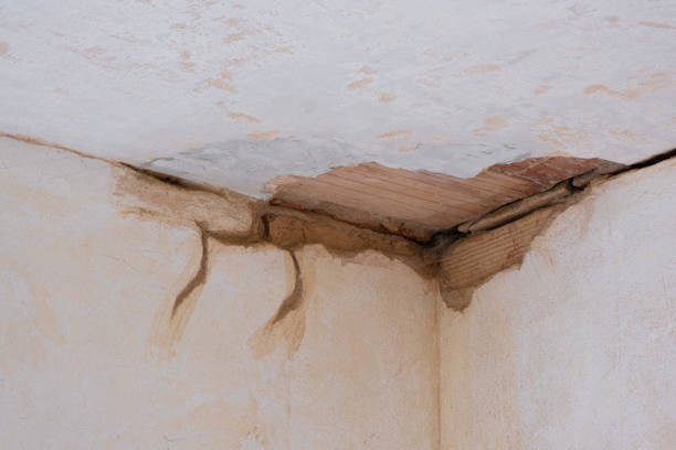 Best Flooded house restoration  in Terrell, TX