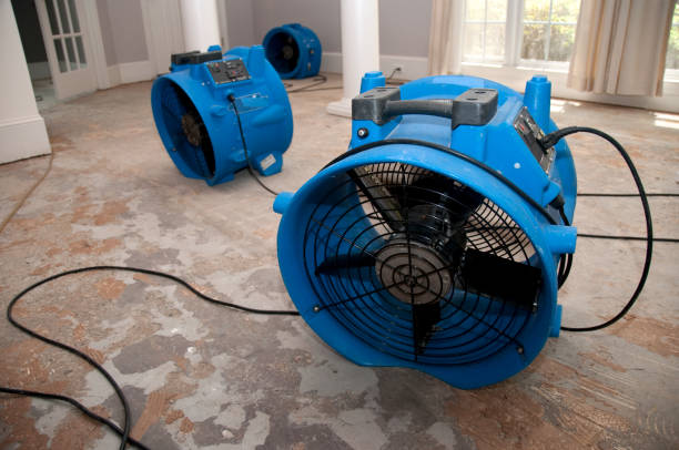 Best Professional water damage repair  in Terrell, TX
