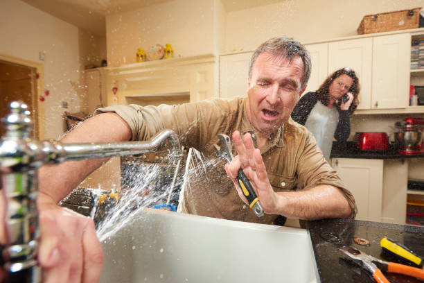 Best Mold removal after water damage  in Terrell, TX